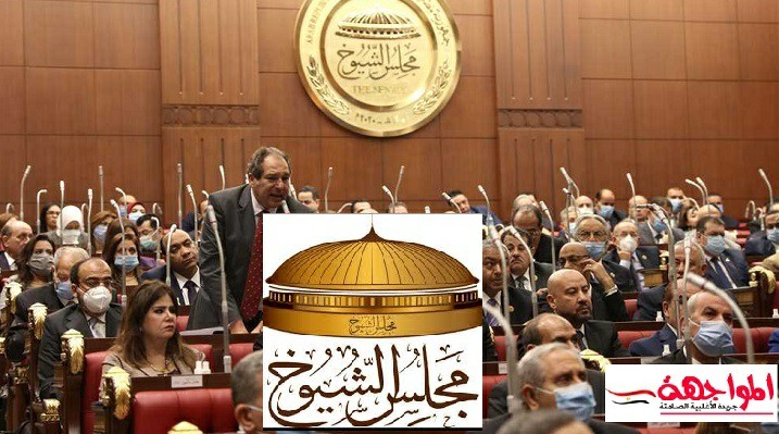 رئيس مجلس الشيوخ عن حبس الأطباء إحتياطيا: هم الدكاترة على راسهم ريشة