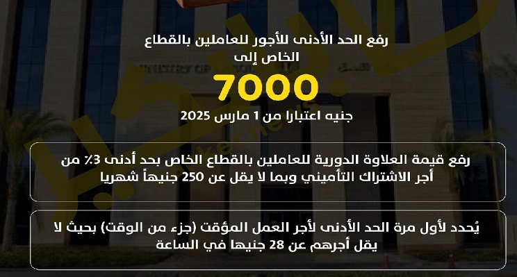 رفع الحد الأدنى للأجور بالقطاع الخاص إلى 7 آلاف إعتبارا من 1مارس والعلاوة الدورية 250 جنيه حد أدنى