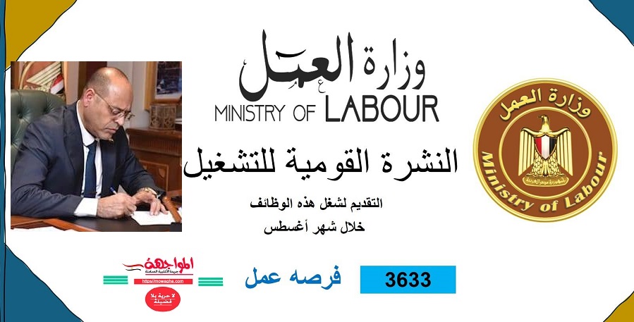 وظائف خالية: 3633 فرصة عمل في 10 محافظات وفقا للحد الأدنى للأجور 7 آلاف جنيه و5% لذوي الهمم